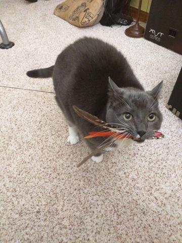He loves Da Bird